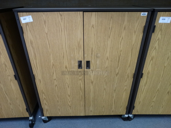 Wood Pattern 2 Door Cabinet on Commercial Casters. 48x22x60. (Room 206)