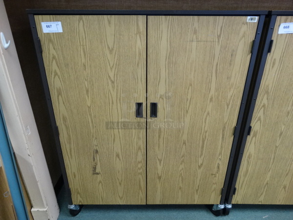 Wood Pattern 2 Door Cabinet on Commercial Casters. 48x22x60. (Room 207)