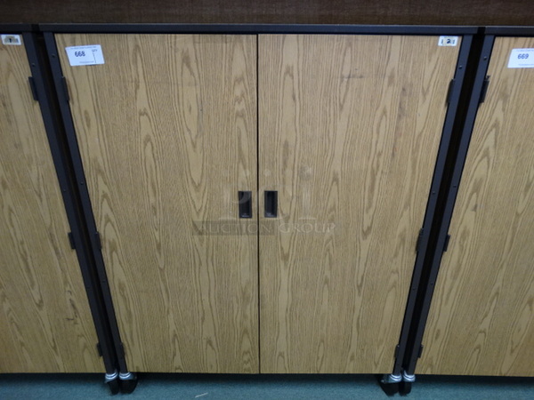 Wood Pattern 2 Door Cabinet on Commercial Casters. 48x22x60. (Room 207)