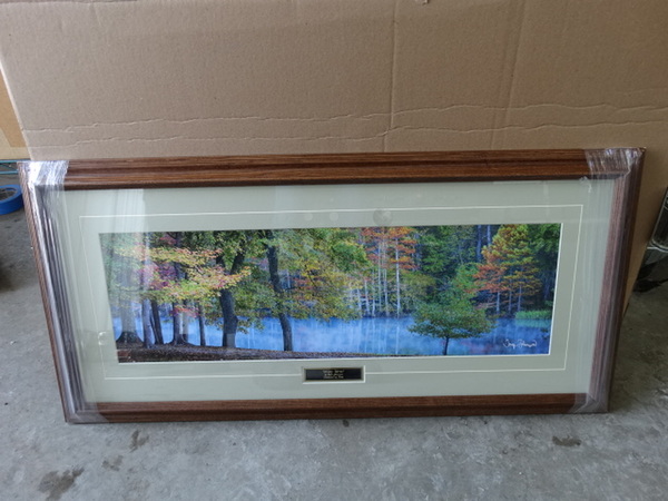 BRAND NEW IN BOX! Uline Misty River Print in Frame. 38x2x18