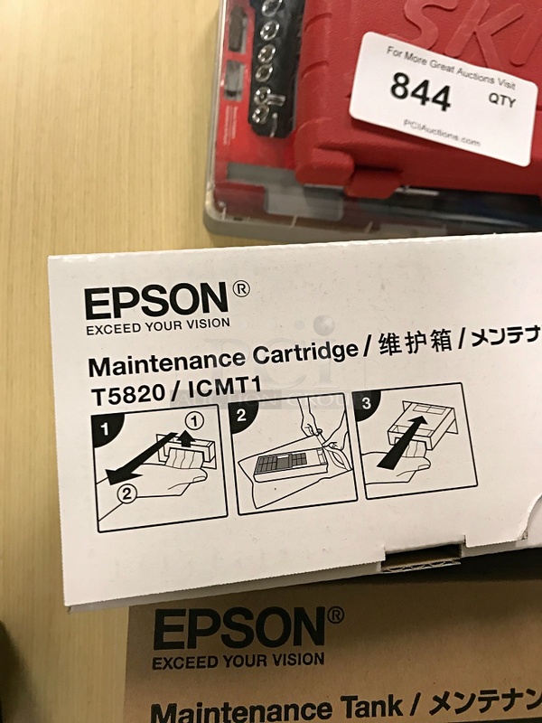 Two Epson T5820 Maintenance Cartridge