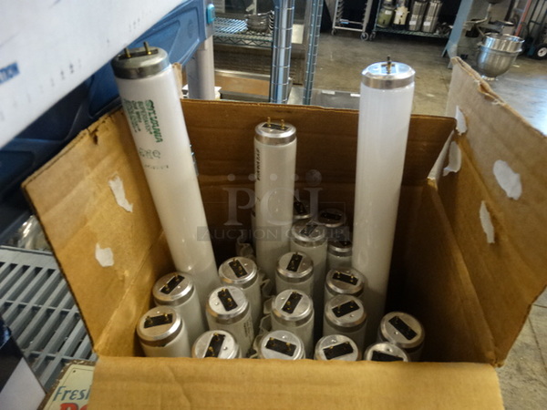 All One Money! Lot of Fluorescent Lights! 48" - Image 1 of 4