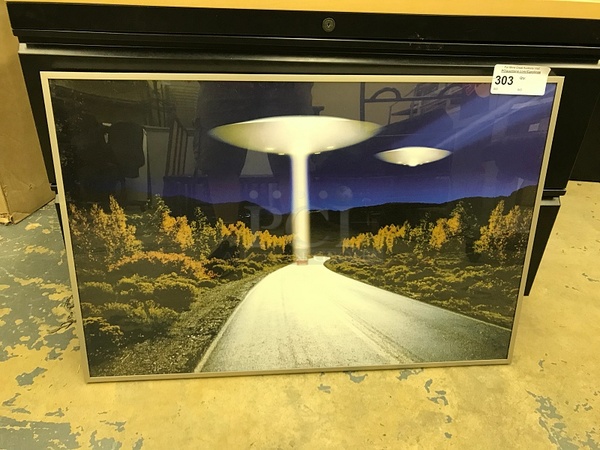 Alien Abduction Framed Poster