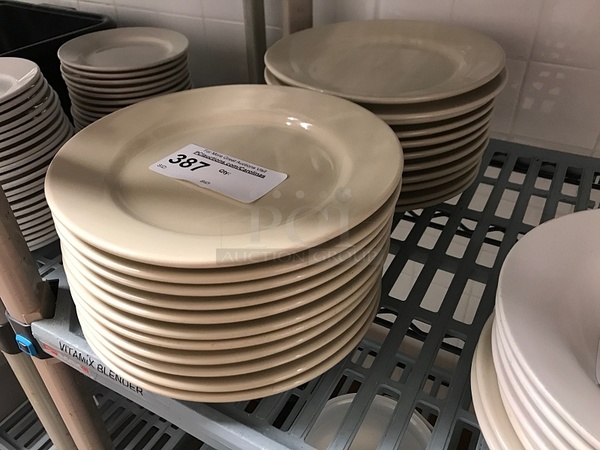 Twenty Ventura Porcelain Dinner Plates