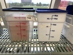 Two 18 Qt Ingredient Bins w/ Lids