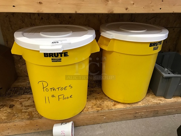 Two Brute Ingredient Bins w/ Lids