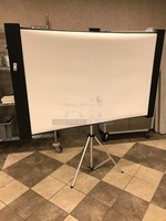 Accolade Duet ELPSC80 Portable Tripod Projector Screen 80"