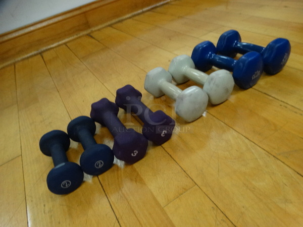 ALL ONE MONEY! Lot of 8 Dumbbells; 2 Blue 5 Pound, 2 Gray 4 Pound, 2 Purple 3 Pound and 2 Blue 2 Pound! 