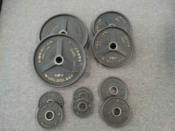 ALL ONE MONEY! Lot of 10 American Plate Weights; Two 2.5 Pound, Two 5 Pound, Two 10 Pound, Two 25 Pound and Two 45 Pound. 