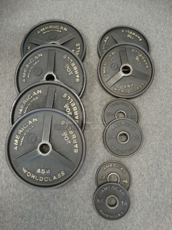 ALL ONE MONEY! Lot of 10 American Plate Weights; Two 5 Pound, Two 10 Pound, Two 25 Pound and Four 45 Pound. 
