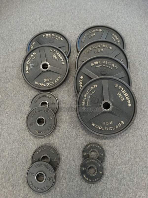 ALL ONE MONEY! Lot of 12 American Plate Weights; Two 2.5 Pound, Two 5 Pound, Two 10 Pound, Two 35 Pound and Four 45 Pound. 