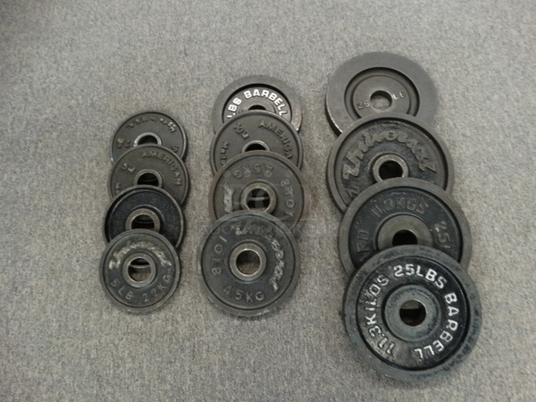 ALL ONE MONEY! Lot of 12 Various Brand Plate Weights; Four 5 Pound, Four 10 Pound, Four 25 Pound!