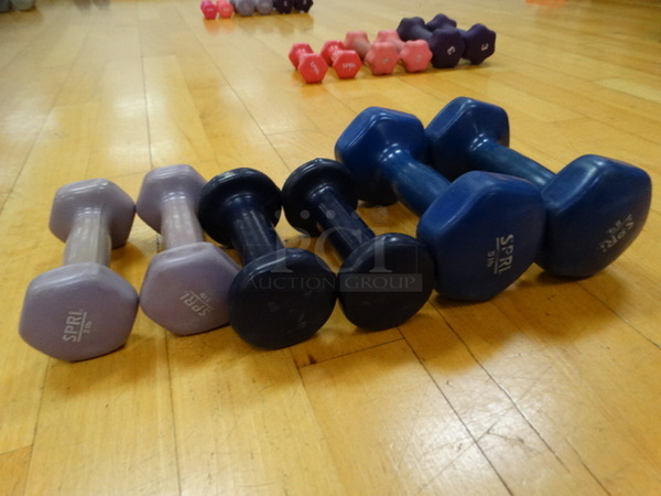 ALL ONE MONEY! Lot of 6 Dumbbells; 2 Purple 2 Pound, 2 Dark Blue/Purple and 2 Blue 5 Pound!