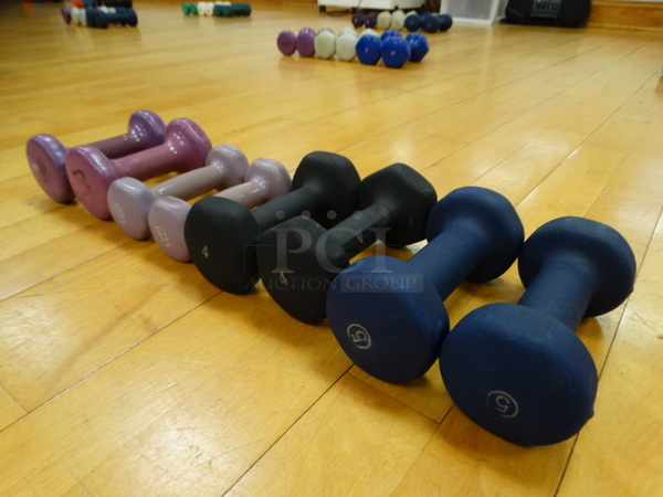 ALL ONE MONEY! Lot of 8 Dumbbells; 2 Blue 5 Pound, 2 Black 4 Pound, 2 Purple 2 Pound and 2 Purple 3 Pound!