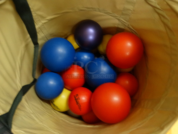ALL ONE MONEY! Lot of Various Balls in Bin!