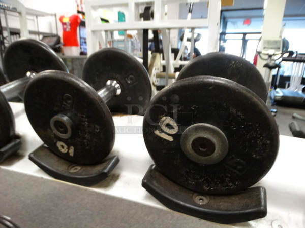 ALL ONE MONEY! Lot of 2 Metal 10 Pound Dumbbells!