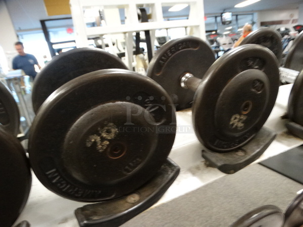 ALL ONE MONEY! Lot of 2 Metal 20 Pound Dumbbells!