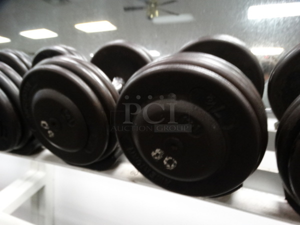 ALL ONE MONEY! Lot of 2 Metal 60 Pound Dumbbells!