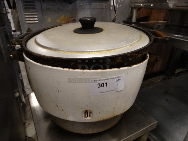 Metal Countertop Rice Cooker. 23x19x15