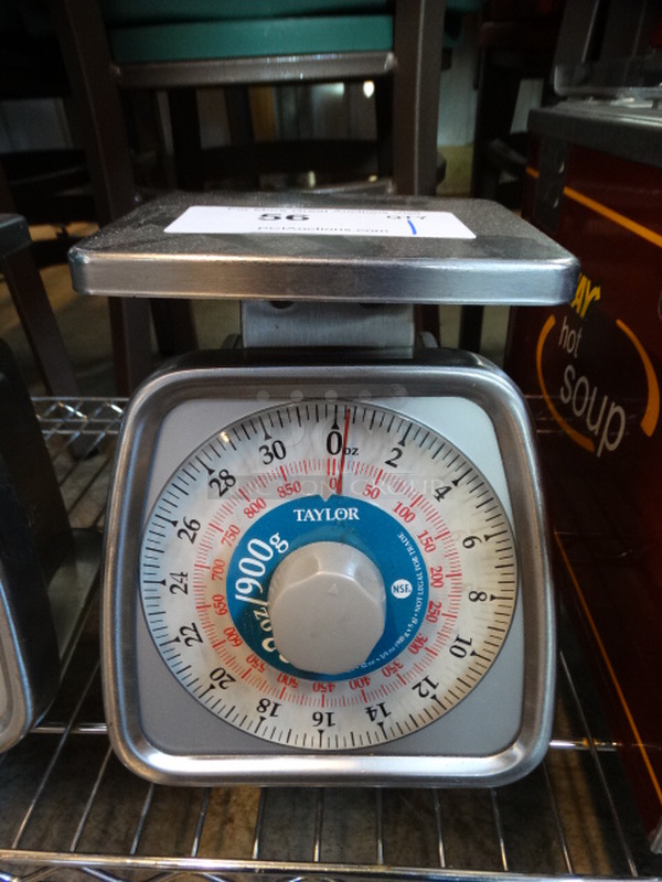 Taylor Metal Countertop Food Portioning Scale. 7x7x9
