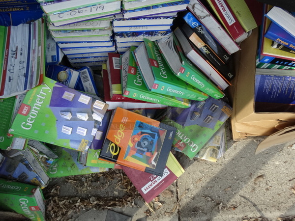 ALL ONE MONEY! MEGA LOT of Various Books and Textbooks! - Image 6 of 10
