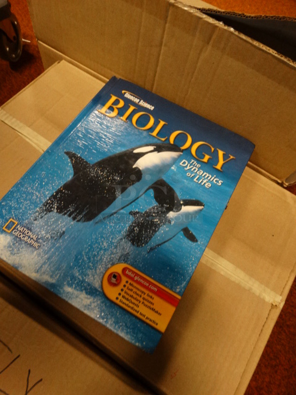 ALL ONE MONEY! Lot of 3 Boxes of Various Books! - Image 3 of 4
