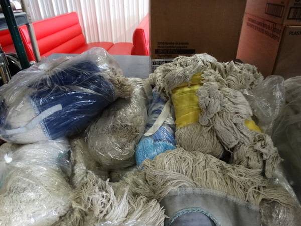 ALL ONE MONEY! Lot of Mop Heads! - Image 3 of 4