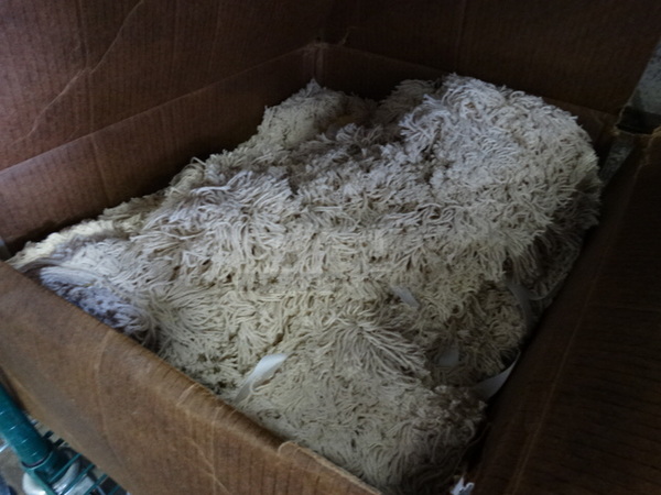 ALL ONE MONEY! Lot of Mop Heads! - Image 2 of 5