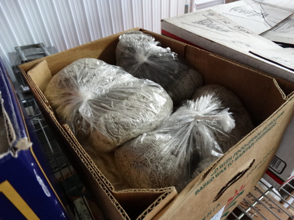 ALL ONE MONEY! Lot of Mop Heads! - Image 2 of 4
