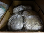 ALL ONE MONEY! Lot of Mop Heads!