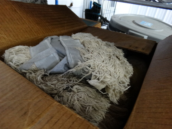 ALL ONE MONEY! Lot of Mop Heads! - Image 2 of 3
