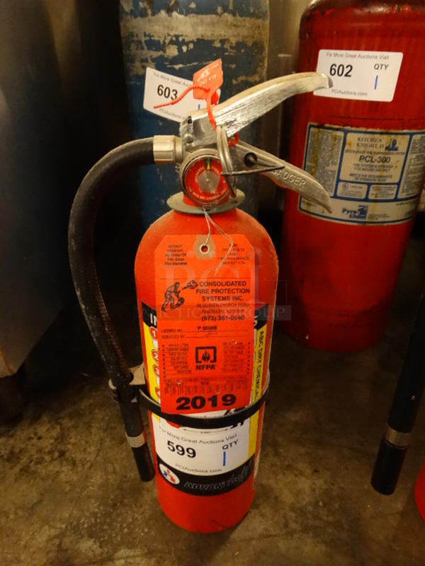 Advantage Fire Extinguisher. 5x4x17