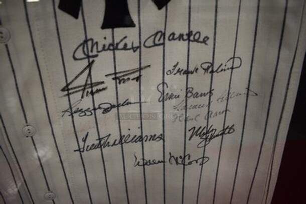 AMAZING! Cooperstown Collection New York Yankee Jersey Autographed by Ted Williams, Mickey Mantle, Eddie Matthews, Reggie Jackson, Frank Robinson, Willie Mays, Harman Killebrew, Mike Schmidt, Hank Aaron, Ernie Banks, and Willie McCovey. 500 Homerun Jersey. Comes with Certificate of Guarantee! 36x2x39 - Image 6 of 12