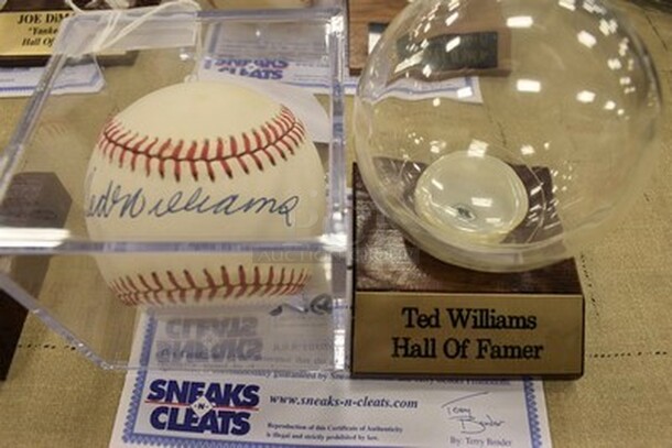 AWESOME! Baseball Autographed By Ted Williams With Extra Baseball Display Case. Comes With COA!