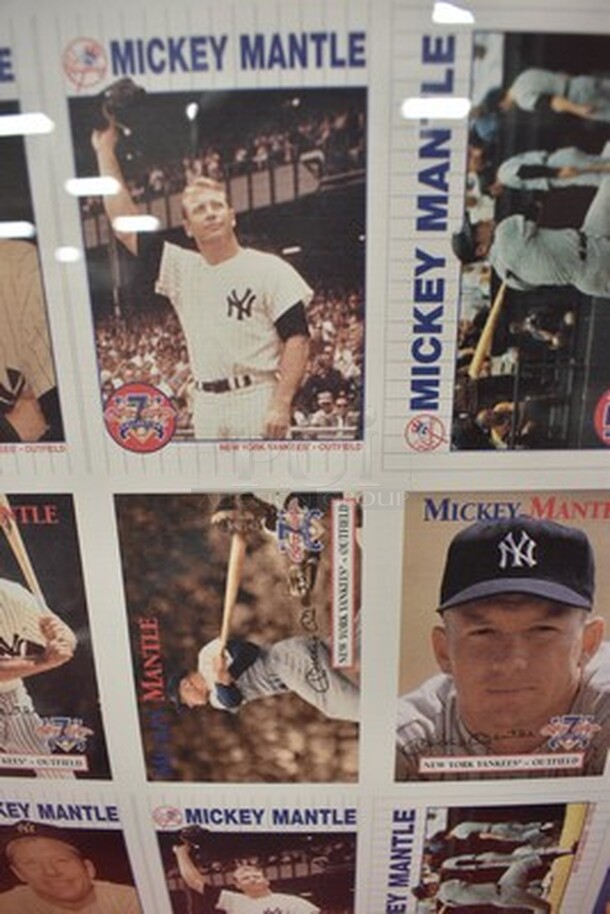 Colortlith Corporation 1996 SCITEX/DESKTOP Rampage Layout of Mickey Mantle Baseball Cards!28x1x24 - Image 5 of 12