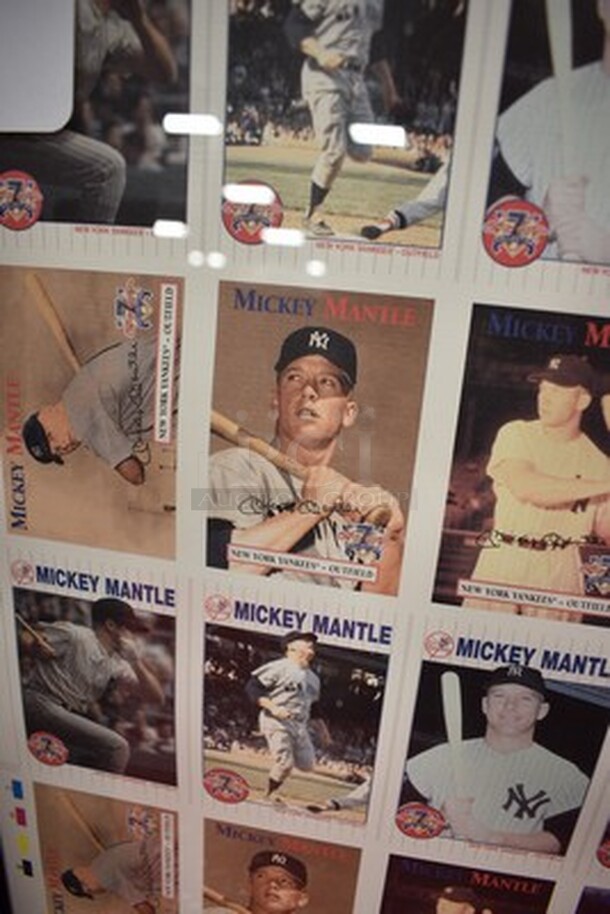 Colortlith Corporation 1996 SCITEX/DESKTOP Rampage Layout of Mickey Mantle Baseball Cards!28x1x24 - Image 6 of 12