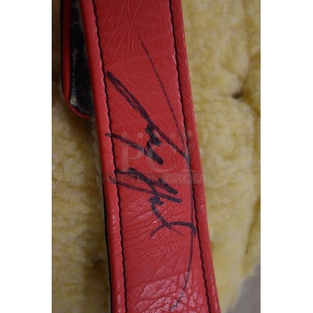 Legends Heavy Weight Champion Belt Signed By Larry Holmes! - Image 8 of 8