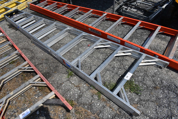 Werner 10' Metal Ladder.