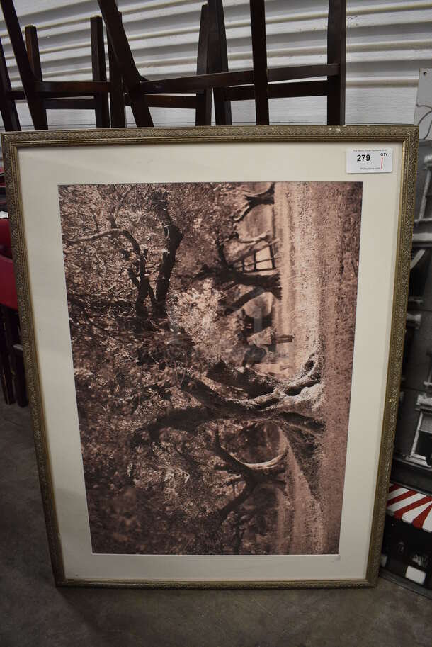 Framed Picture of Trees. 48.5x1x36.5