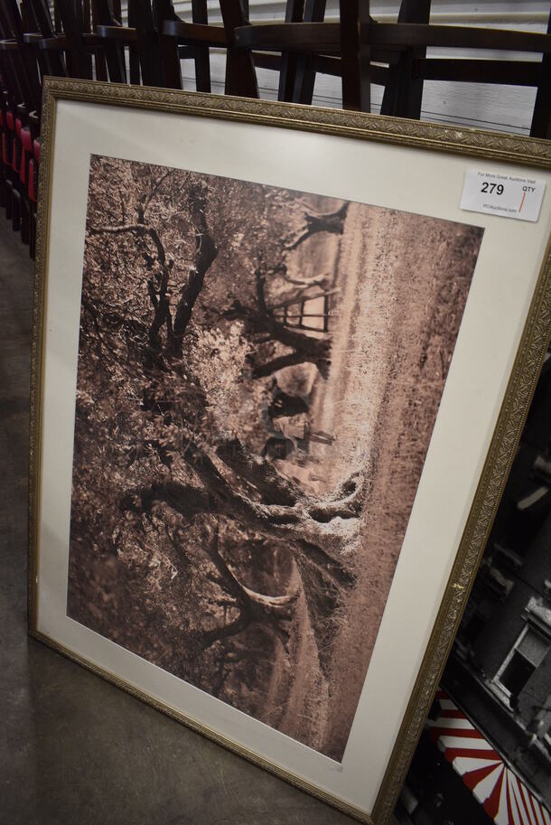 Framed Picture of Trees. 48.5x1x36.5 - Image 2 of 3