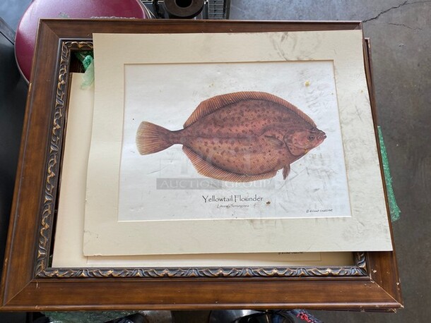3 Framed Pictures of Fish. 25x1x21. 3 Times Your Bid!