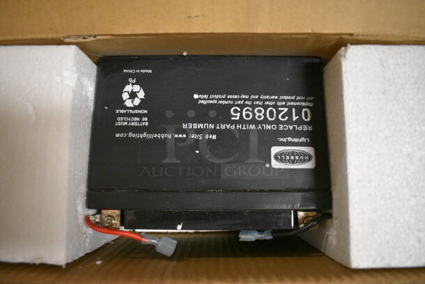 BRAND NEW IN BOX! DualLite Model CVEC100-12VI Commercial Emergency Light and Hubbell Battery. 12.5x8.5x6, 6.5x7x5 - Image 3 of 7
