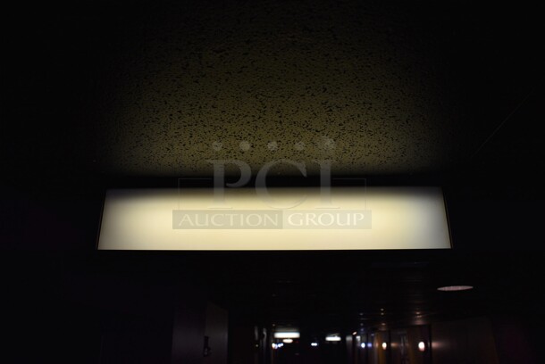 4 Metal Ceiling Mount Mylar Boxes; Located Above Theater Entrances 5-8. 26x6x6. 4 Times Your Bid! BUYER MUST REMOVE - Image 2 of 4