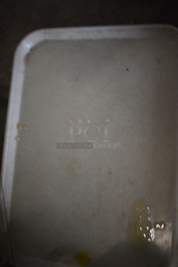 ALL ONE MONEY! Lot of Poly Tray and Metal Tray! - Image 3 of 3