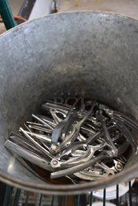 ALL ONE MONEY! Lot of Metal Claw Crackers in Metal Bucket! 6"