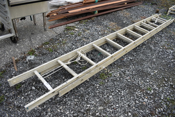 Metal Ladder. 16x5.5x158