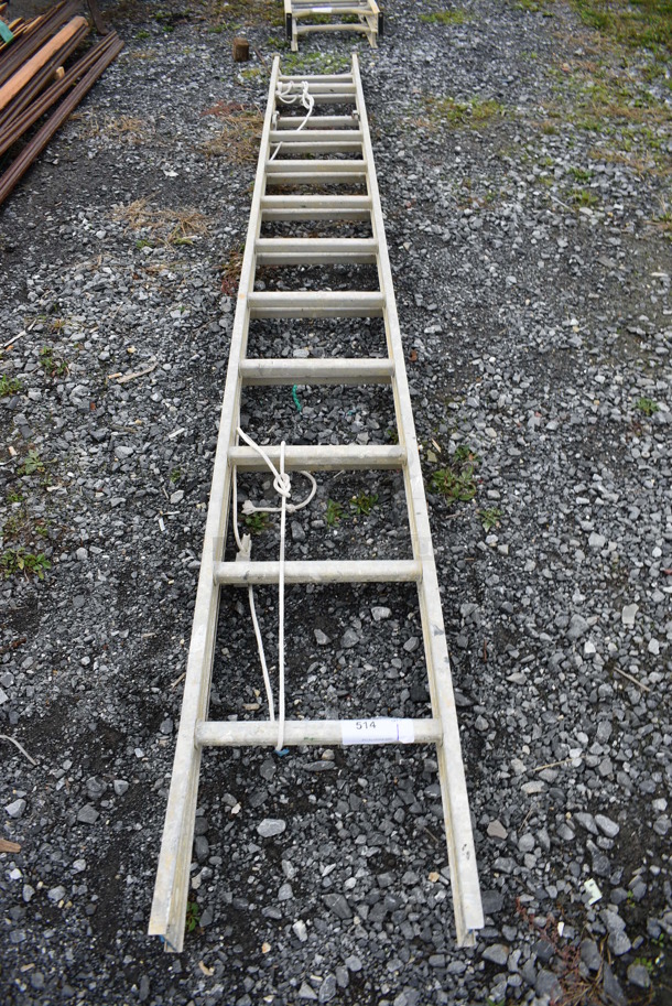 Metal Ladder. 16x5.5x158 - Image 2 of 3