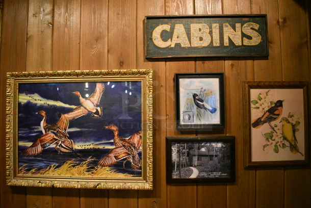 ALL ONE MONEY! Lot of Various Wall Decorations Including Cabins Sign, Various Duck / Bird Pictures, Rush View Cottage Sign, 2 Birdhouses, Camp Fire Coffee Sign! BUYER MUST REMOVE - Image 2 of 7