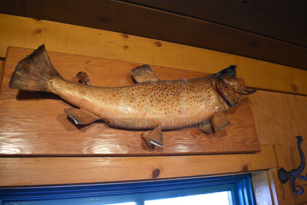ALL ONE MONEY! Lot of Wall Decorations Including Fisherman Picture, Wooden Piece, Shelf w/ Knickknacks, Fish and Hunting and Fishing Picture. BUYER MUST REMOVE - Image 6 of 7
