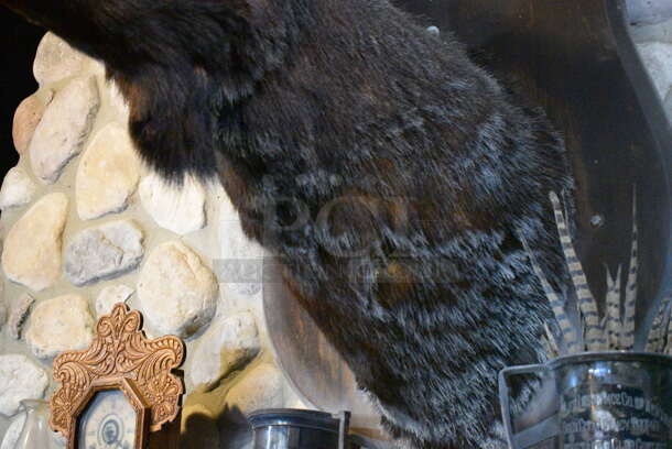 Stuffed Moose Head. BUYER MUST REMOVE.  - Image 5 of 5